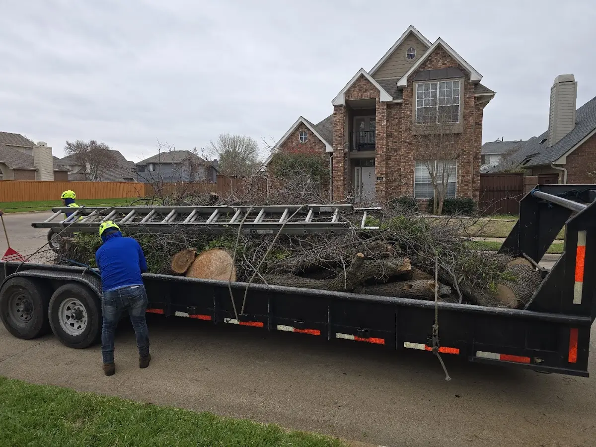 Expert Crown Reduction with proper safety equipment in Farmingville